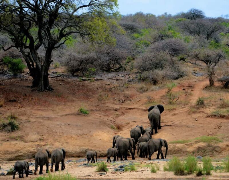 South Africa: Tailored Tours and Adventures with We Do Tours - Key Points