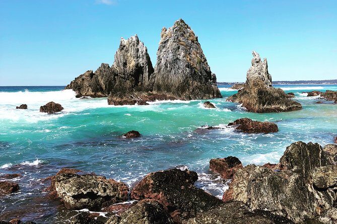 South Coast Nature Tour - Introduction