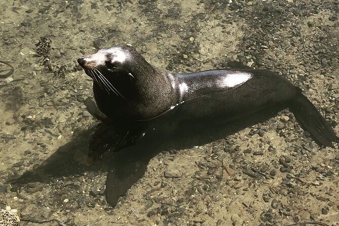 South Coast Nature Tour - A Closer Look at the Itinerary