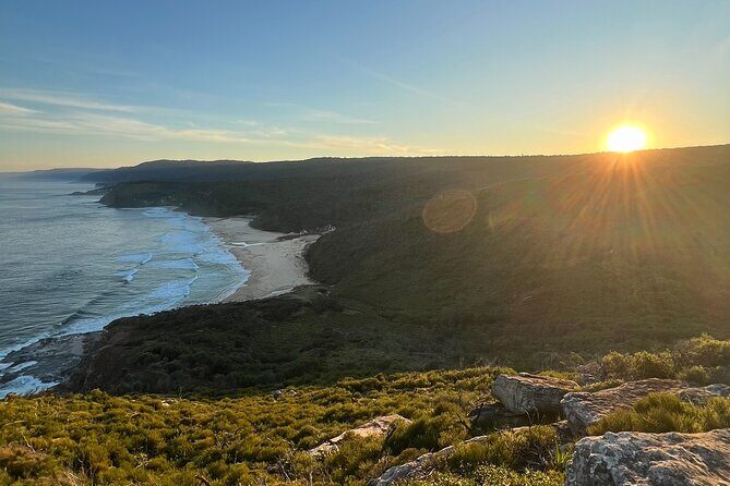 South Coast Private Tour & Royal National Park Inc - Practical Tips and Final Thoughts