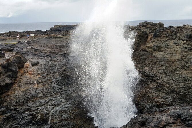 South Coast, Waterfals, Tempels, Kiama Blowhole Private Tour - Who Would Love This Tour?