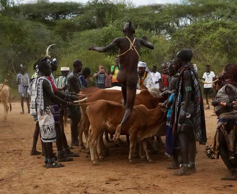 South Ethiopia Tribal Tour: 7 Days and 6 Nights - Key Points
