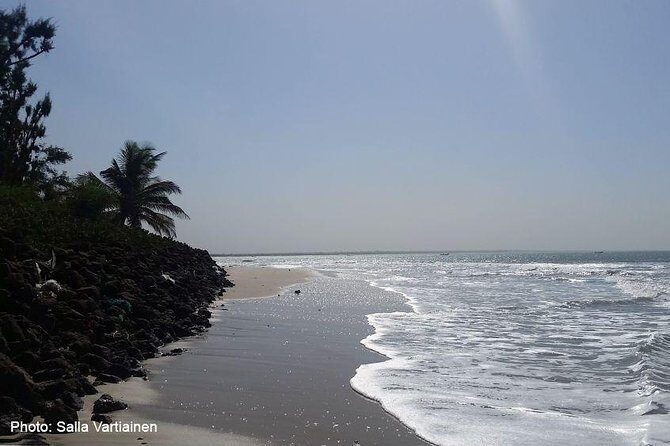 South Gambia Tour - Fishing village and Paradise Beach - Introduction