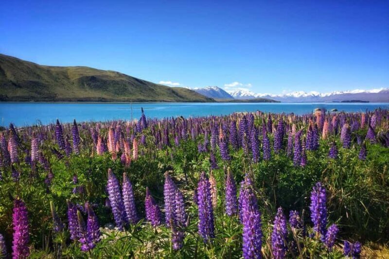 South Island Highlights: 9-Day New Zealand Adventure - An In-Depth Look at the 9-Day Itinerary