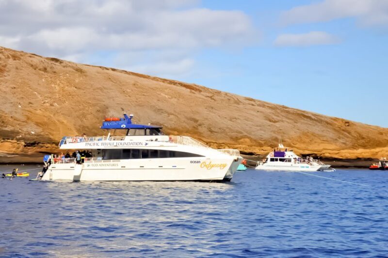 South Maui: Eco Friendly Molokini and Turtle Town Tour - The Sum Up