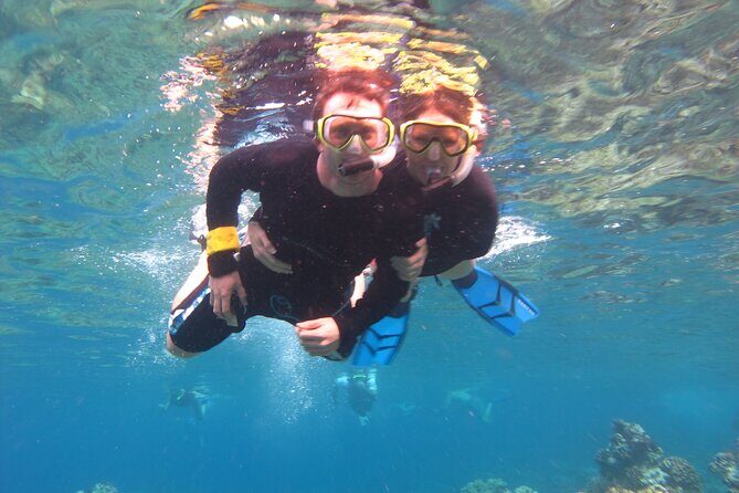 South Maui Kayak and Snorkel Tour with Turtles - The Sum Up: Who Is This Tour Best For?