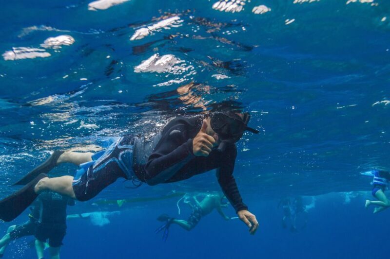 South Maui: Lanai Snorkel & Dolphin Watch from Maalaea - The Experience for Different Travelers