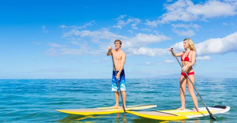 South Maui: Makena Bay Stand-Up Paddle Tour - The Route and Marine Wildlife