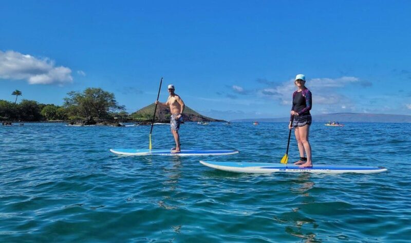South Maui: Makena Bay Stand-Up Paddle Tour - The Experience and Atmosphere