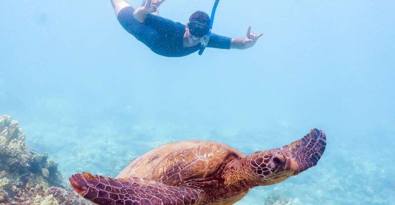 South Maui: Molokini Snorkeling Adventure - A Full Review of the Molokini Snorkeling Experience