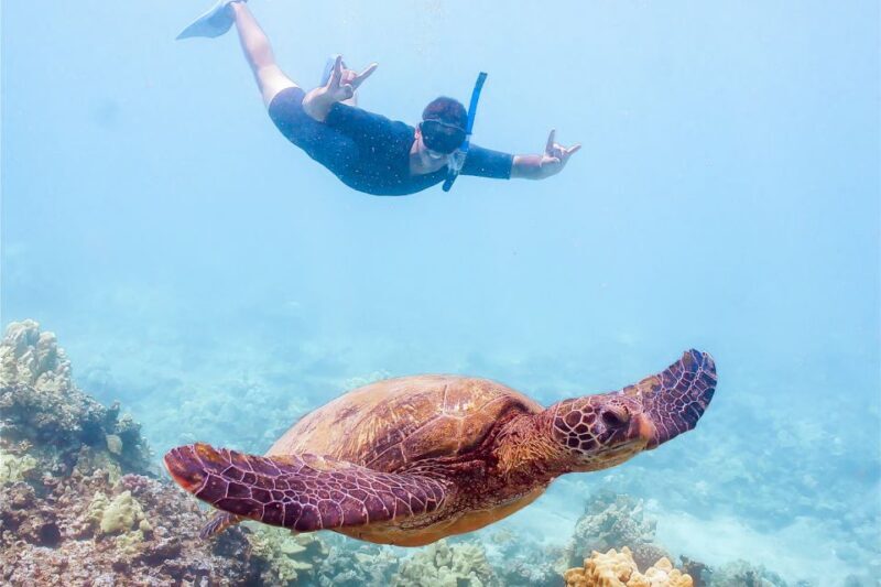 South Maui: Molokini Snorkeling Adventure - Final Thoughts