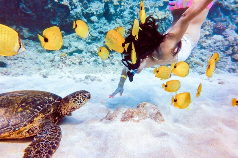 South Maui: Molokini Snorkeling Adventure - FAQ