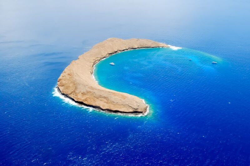 South Maui: Molokini & Turtle Adventure from Maalaea Harbor - An In-Depth Look at the Experience