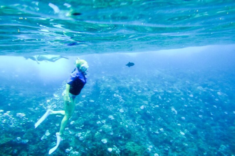 South Maui: Molokini & Turtle Adventure from Maalaea Harbor - FAQ