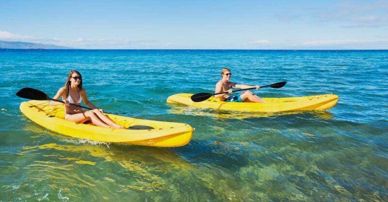 South Maui: Premium Turtle Town Kayak and Snorkel Tour - An Overview of the Experience
