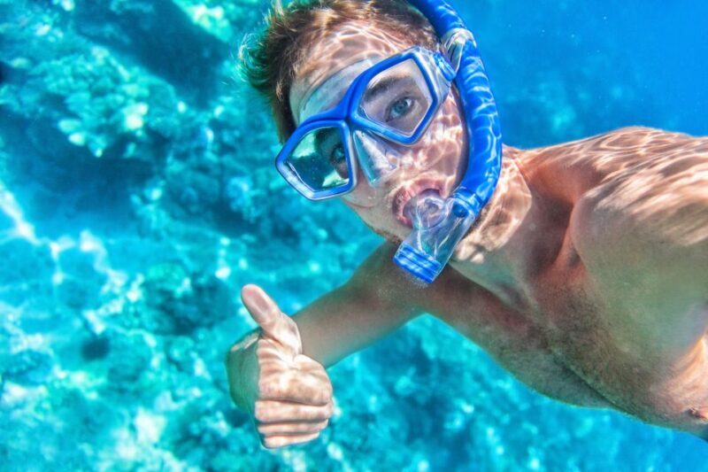 South Maui: Premium Turtle Town Kayak and Snorkel Tour - Practical Tips for Travelers