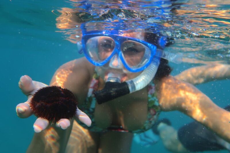 South Maui: Premium Turtle Town Kayak and Snorkel Tour - Final Thoughts