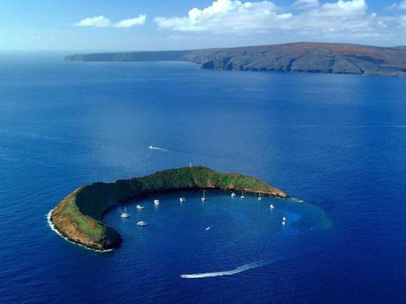 South Maui: Snorkel to Coral Gardens or Molokini Crater - FAQ