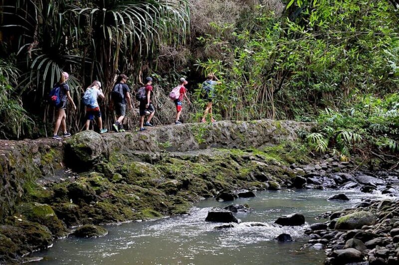 South Maui: Waterfall Tour w/ Kayak, Snorkel, and Hike - An In-Depth Look at the Tour Experience