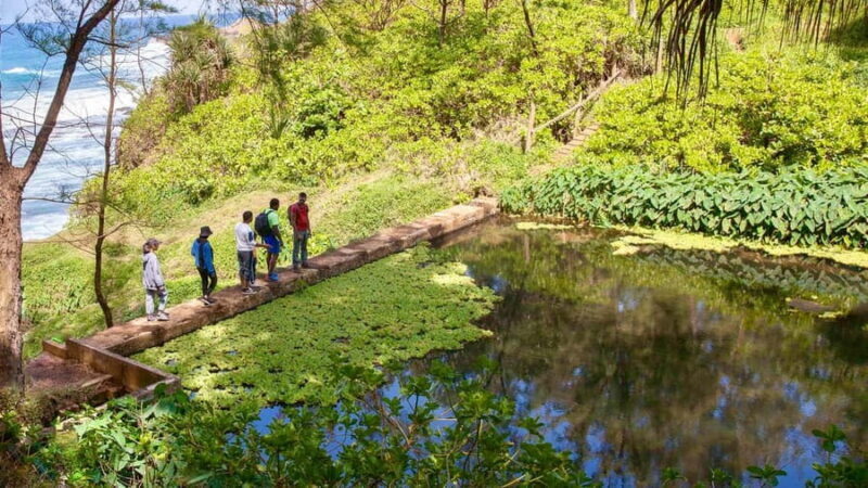 South Mauritius: Easy cliff& jungle hike to hidden waterfall - Practical Details & What to Expect