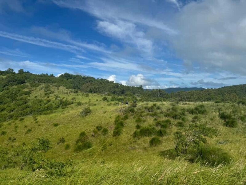 South Molle Island Self Guided Walking Tour - Pricing and Value