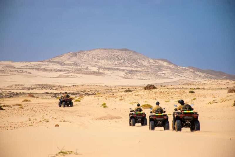 South of Boa Vista Adventure: Explore the Desert by Quad - Why This Tour Is a Solid Choice