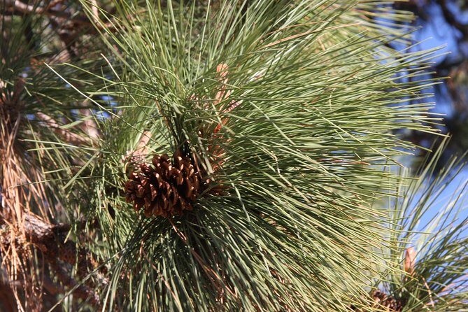 South Okanagan Desert Tour - Practical Tips for Your Day