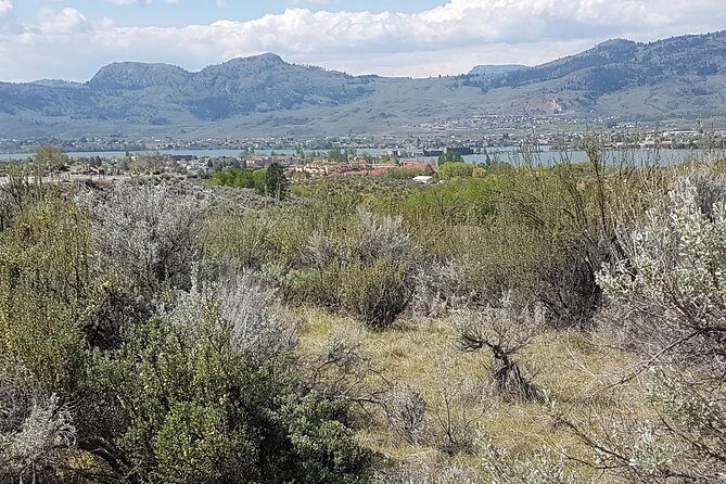 South Okanagan Desert Tour - The Sum Up: Is It Worth It?