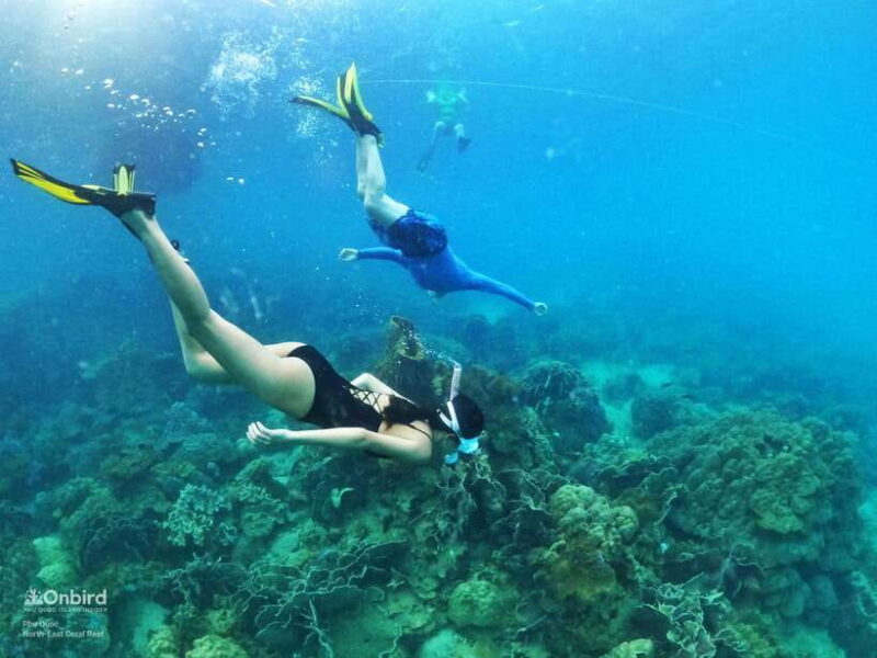 South Phu Quoc: Pro Snorkeling Tour by Speedboat - The Experience for Different Travelers