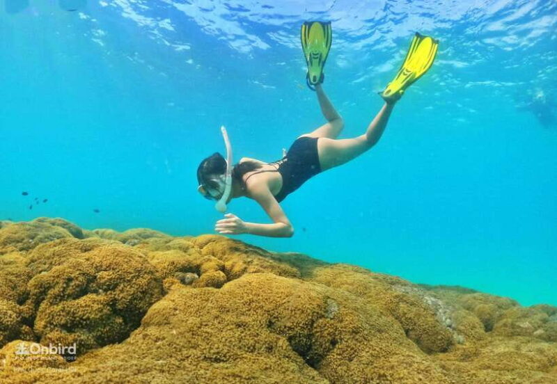 South Phu Quoc: Pro Snorkeling Tour by Speedboat - FAQ