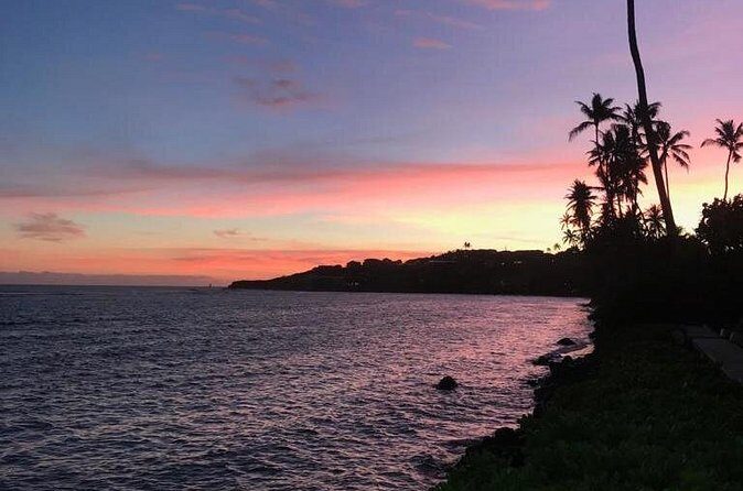 South Shore Aloha Friendly Tour - Who Would Love This Tour?