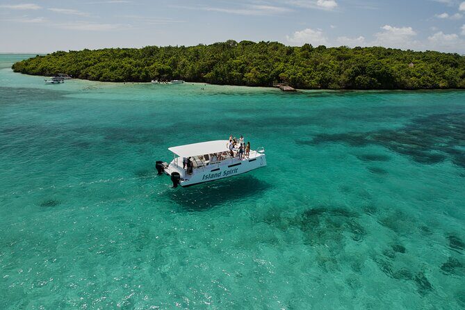 SouthEast Lagoon Discovery on shared basis on a Power Catamaran - A Closer Look at the Tour Experience