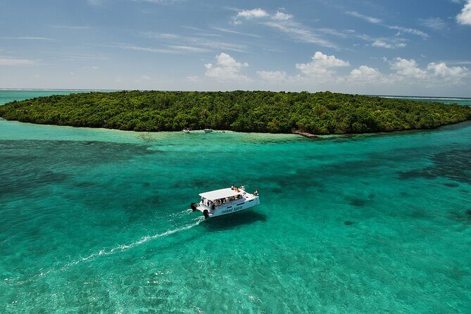 SouthEast Lagoon Discovery on shared basis on a Power Catamaran - Authentic Experiences and Traveler Feedback