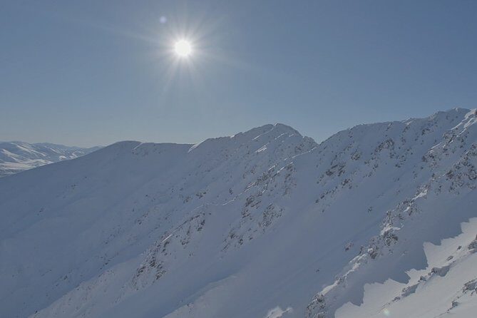 Southern Alps Scenic - Authentic Feedback from Previous Travelers