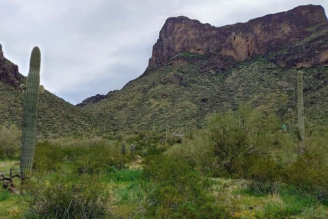 Southern Arizona Full-Day Historical Tour from Phoenix - Private Tour - Final Thoughts