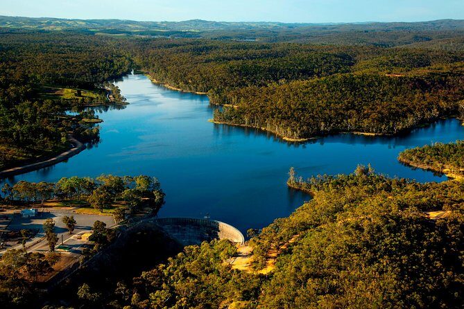 Southern Barossa: 10-Minute Helicopter Flight - What to Expect from the Tour