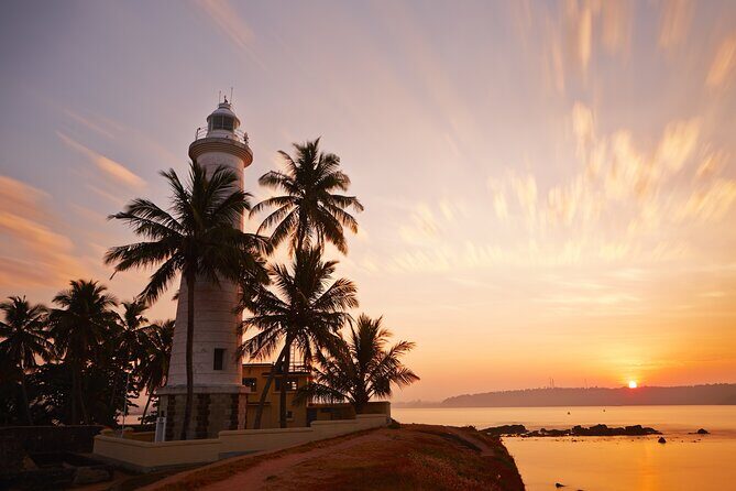 Southern Coast Highlights Tour from Bentota - Authentic Experience and Review Highlights