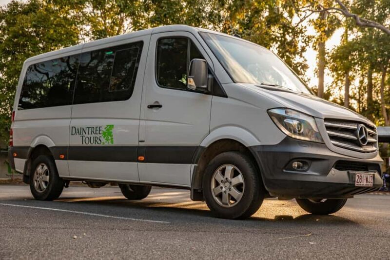 Southern Daintree Explorer Tour - Half Day - Transport and Comfort