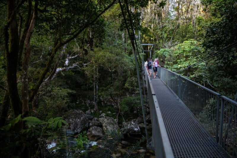 Southern Daintree Explorer Tour - Half Day - The Price and Value