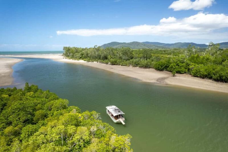 Southern Daintree Explorer Tour - Half Day - Insights from Reviews