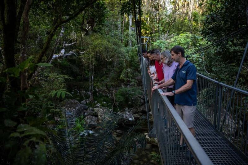 Southern Daintree Explorer Tour - Half Day - Practical Tips for Travelers