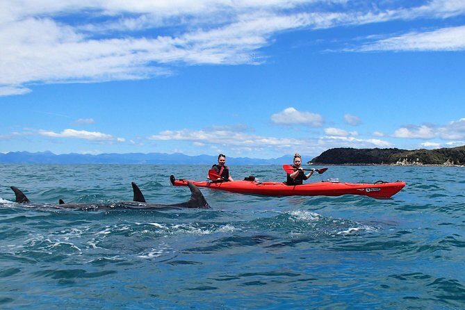 Southern Duo kayak & walk tour - Who Will Enjoy This Tour?