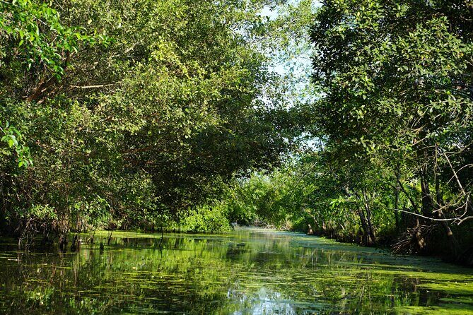 Southern Forest Tour Explore Hau Giang Nature - Cancellation and Booking
