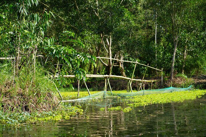 Southern Forest Tour Explore Hau Giang Nature - Final Thoughts