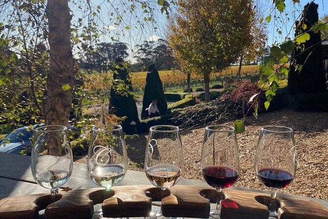 Southern Highlands Full-Day Wine Tour - A Deep Dive into the Southern Highlands Full-Day Wine Tour