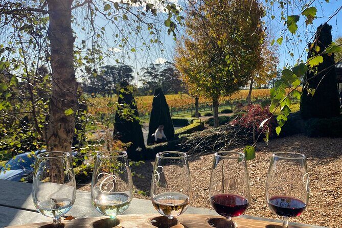Southern Highlands Full Day Wine Tour Sydney Pick Up - An In-Depth Look at the Southern Highlands Full Day Wine Tour
