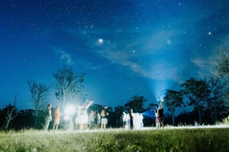 Southern Highlands: Nocturnal Wildlife Experience - An In-Depth Look at the Southern Highlands Nocturnal Wildlife Experience