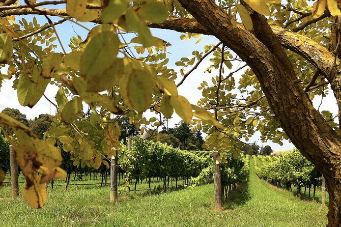 Southern Highlands Private Tour with Wine, Waterfall and Garden - Detailed Breakdown of the Tour Experience
