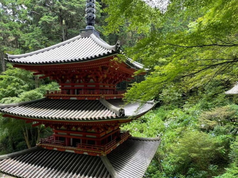 Southern Kyoto: Journey to Jruri-ji & Its Pure Land Garden - An Authentic Look at Jruri-ji’s Pure Land Garden