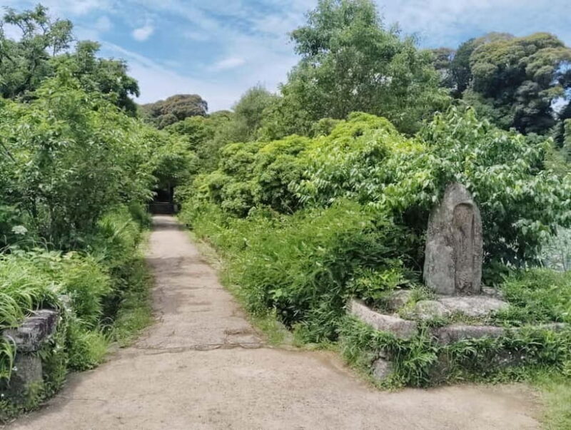 Southern Kyoto: Journey to Jruri-ji & Its Pure Land Garden - Who Should Consider This Tour